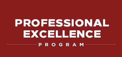 Professional Excellence Course