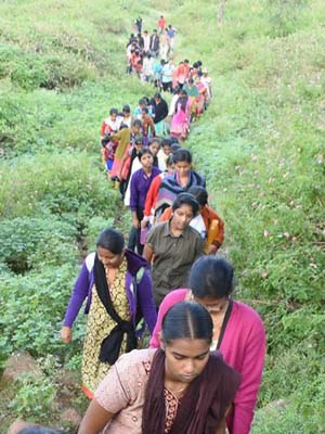 Kodaikanal Corporate Team Outing Places | Siegergroups.com