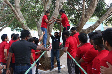 Twin Rope Walk Team Building