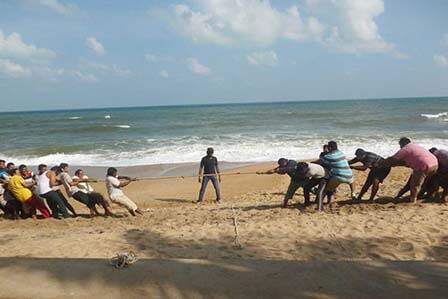 Fun Team Building Activities