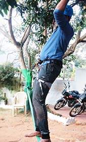 Kerala Corporate Team Outing Places | Siegergroups.com