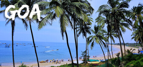 Team Building and Team Outing in Goa